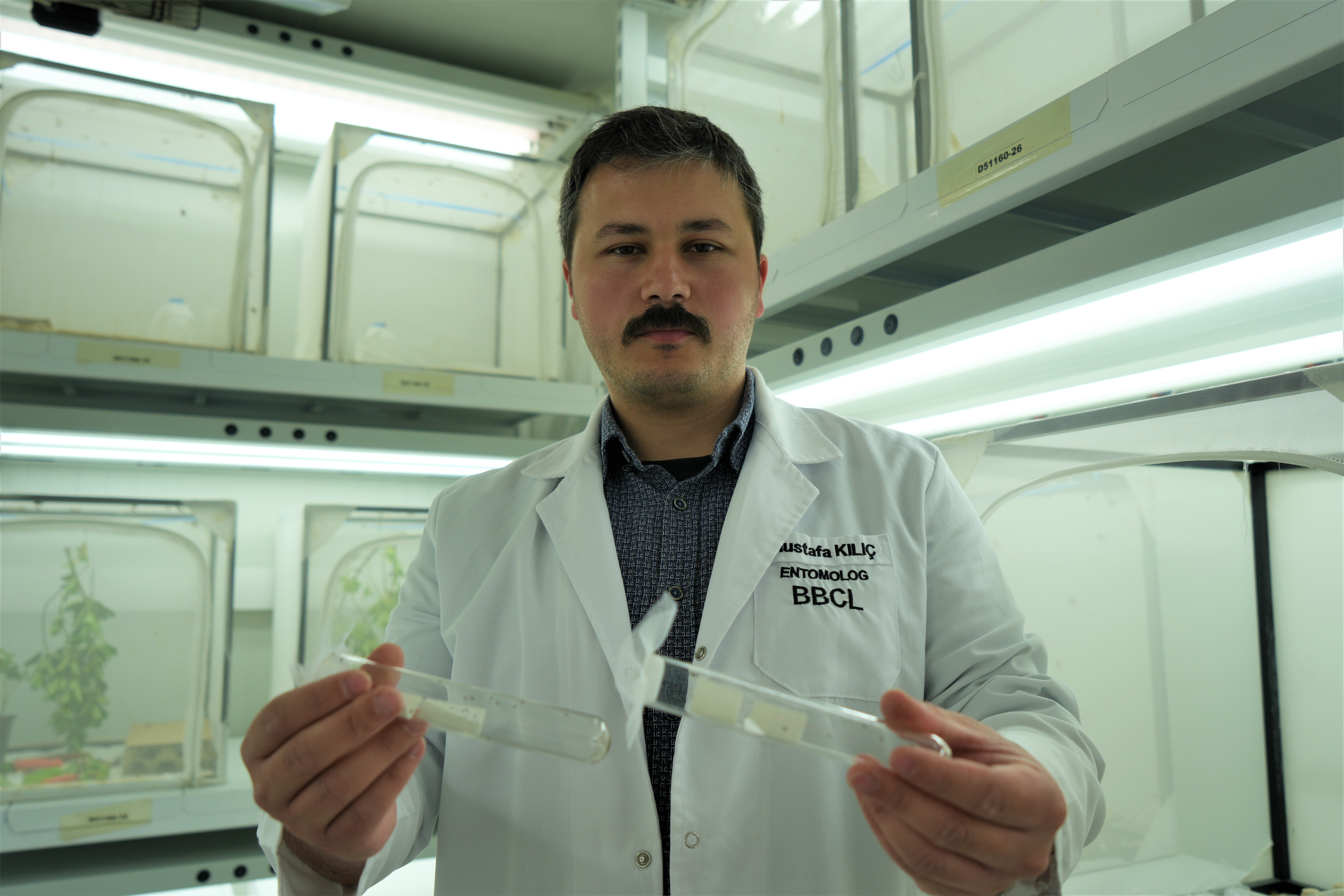 Samuray Arıları, Kahverengi Kokarca ile Mücadelede Doğaya Bırakılacak